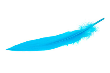Decorative blue bird feather isolated on the white background