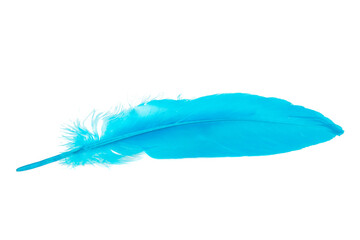 Decorative blue bird feather isolated on the white background