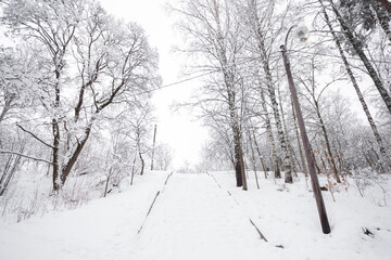 Fototapeta premium Snow-covered stairs in the park. winter landscape . Guiding lines.