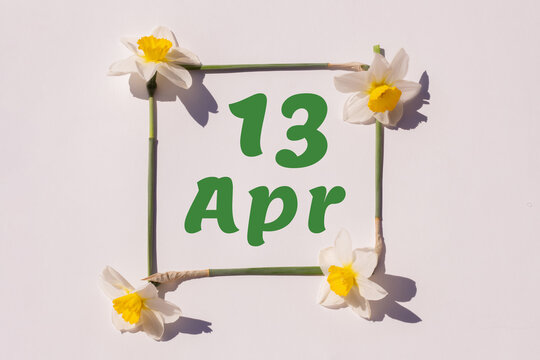 April 13, 13th day of the month, calendar date. Frame from flowers of a narcissus on a light background, pattern. View from above. Spring month, day of the year concept
