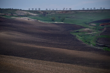 Obraz premium Earthynatural agricultural background
