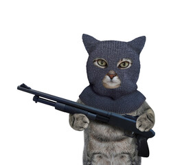 A gray cat in a balaclava is holding a pump action shotgun. White background. Isolated.