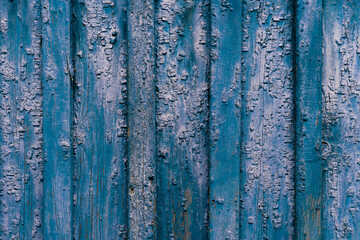 Vintage wood texture background. Natural wood texture.