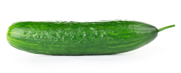 Fresh cucumber close-up isolated on white background.