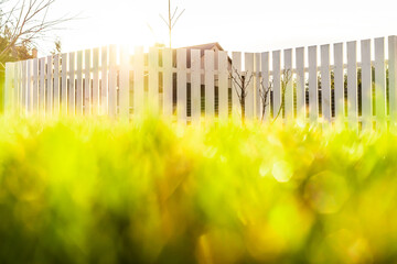 Autumn sun rays shine on a green lawn through a white wooden fence