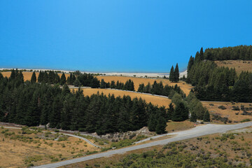 Forest, meadow and road at the shore of Lake Pukaki.