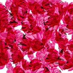 Roses and peonies Seamless pattern. Floral illustration with red flowers