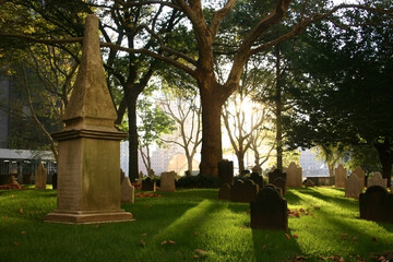 Fototapeta premium An old cemetery in New York, illuminated by the rays of the setting sun