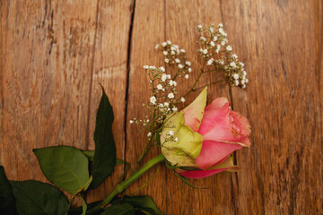 Rosa Rose mit Schleierkraut auf Holz