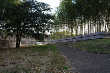 Walking road in Yamadaike Park Hirakata Osaka Japan.