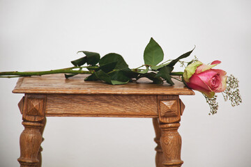 Einzelne Rose mit Schleierkraut auf Holzhocker