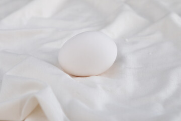 Egg on white background, monochrome concept
