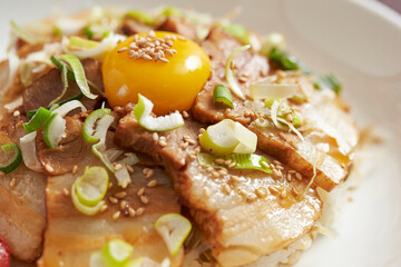 Grilled pork with scallion and egg rice bowl 