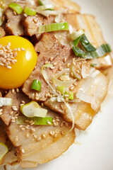 Grilled pork with scallion and egg rice bowl 