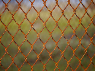 Fototapeta premium Rusty fence pattern at Deebles Point