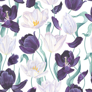Seamless floral pattern with white, dark purple tulips, leaves and petals on a white background. Hand drawn, high realism, vector, spring flowers for fabric, prints, desktop screens, invitation cards. © MPetrovskaya