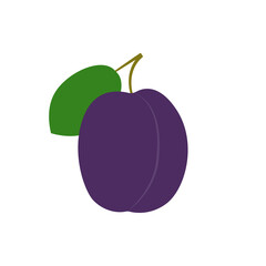 Plum icon. Healthy fruit with leaf. Vector illustration.