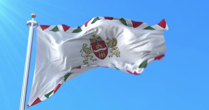 Flag of Budapest, capital city of Hungary. Loop
