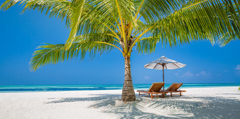 Beautiful tropical beach banner. White sand coco palms travel tourism wide panorama. Summer sea...