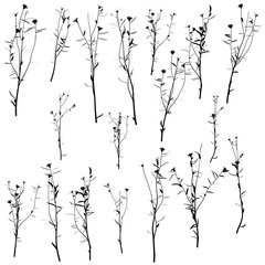 Set with silhouettes of detailed plants isolated on white background. Vector illustration