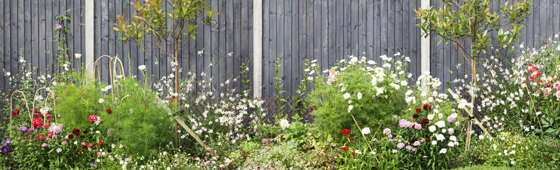 Painted garden fence and flower border in Norfolk