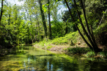 Spring in Salt Dels Murris waterfall, La Garrotxa, Girona, Spain