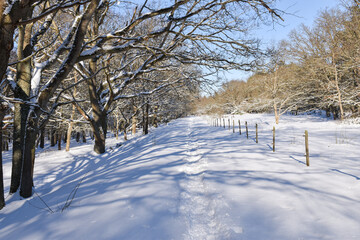Footpath through a snow covered landscape