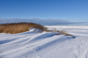Fototapeta na wymiar Snowdrift and reeds by the coast