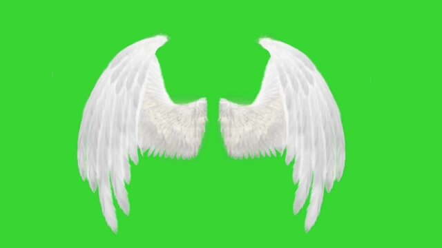 Real angel and devil flopping wings green screen pack of two wings.
