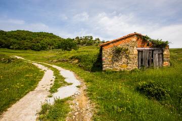 Fototapeta na wymiar Spring landscape in Falgars D En Bas, La Garrotxa, Spain
