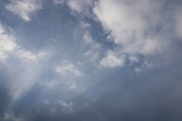 Obraz premium The sky in the forest, close to the taiga