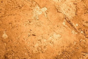 texture of the wall