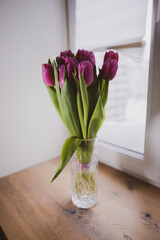 a bouquet of tulips with purple buds stands on a wooden windowsill. March 8-Women's day. gifts, holiday, spring, flowering.