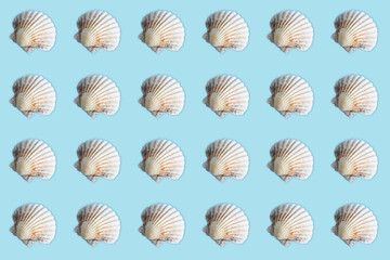 sea shell pattern on blue background