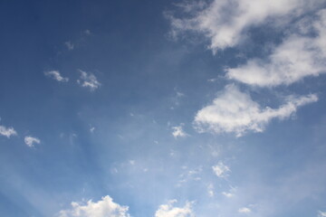 The sky in the forest, close to the taiga