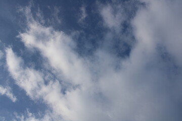 The sky in the forest, close to the taiga