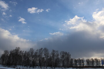 The sky in the forest, close to the taiga