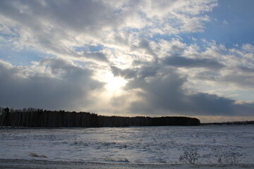 The sky in the forest, close to the taiga