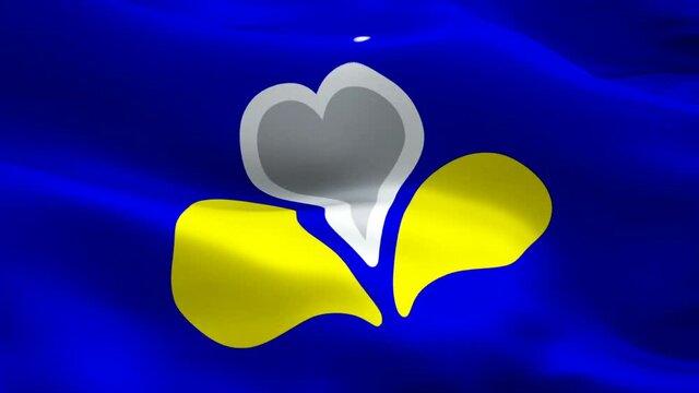 Flemings flag Motion Loop video waving in wind. Brussels Capital Region Flag background. Dutch Flag Looping Closeup 1080p Full HD 1920X1080 footage. Brussels, Brussels Flemings flags footage video for