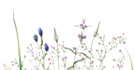 Watercolor horizontal from grass and wild blue flowers on white background