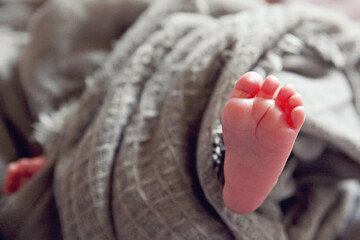 Feet of a newborn baby