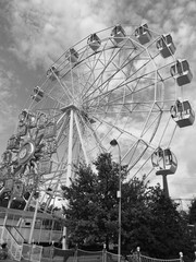 ferris wheel in the park
