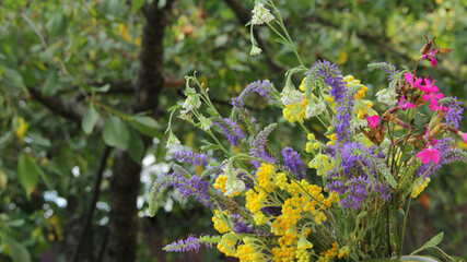 flowers in the forest