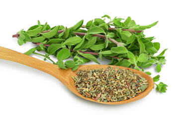 Oregano or marjoram leaves fresh and dry in wooden spoon isolated on white background with clipping...