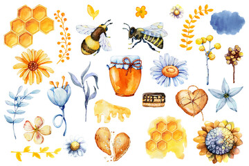 Honey set, bee and wasp, honeycomb, field herbs, flowers, jar, packaging for the product. Hand drawn watercolor illustration isolated on white background.