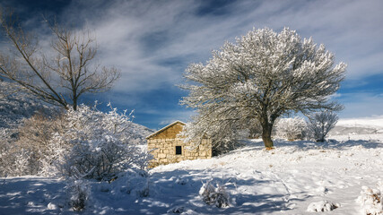 a snowy landscape with a tree and an old house
