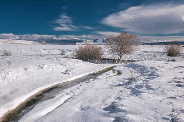 Obraz premium snowy landscape with river trees