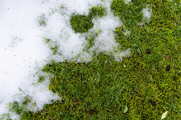 The thaw sets in. The grass comes out and the snow disappears