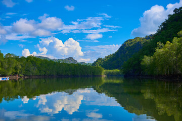 Fototapeta na wymiar Pure nature landscape river among mangrove forests