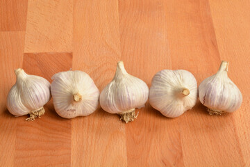 Garlic